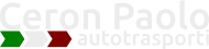 Demo Logo